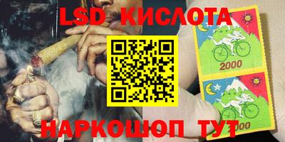 шишки Донской