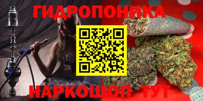 шишки Донской
