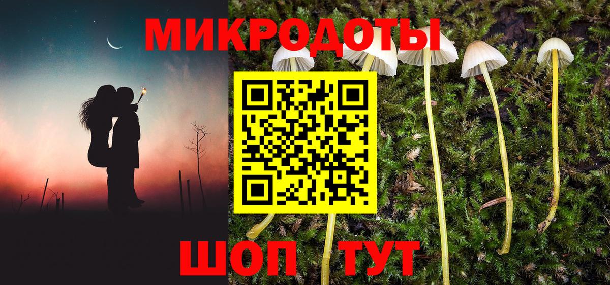 Псилоцибиновые грибы GOLDEN TEACHER Рассказово